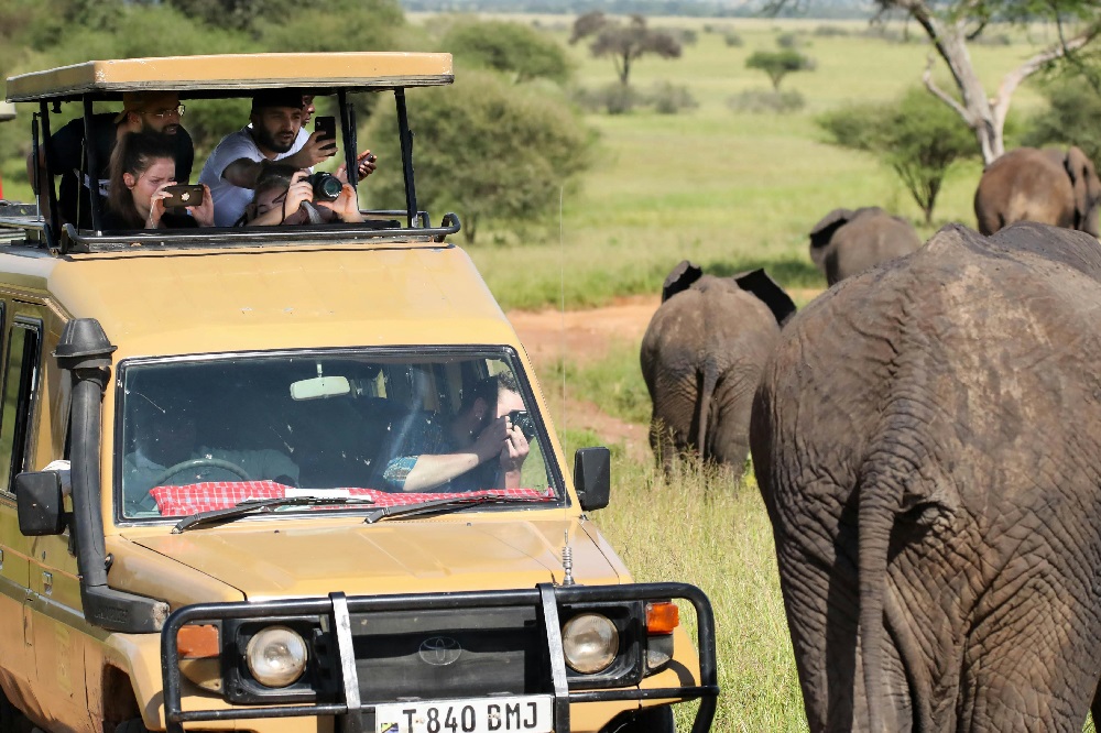2 week safari, 2 week kenya and tanzania safari, best safari in africa, best destinations in africa, how much does a 2 week african safari cost